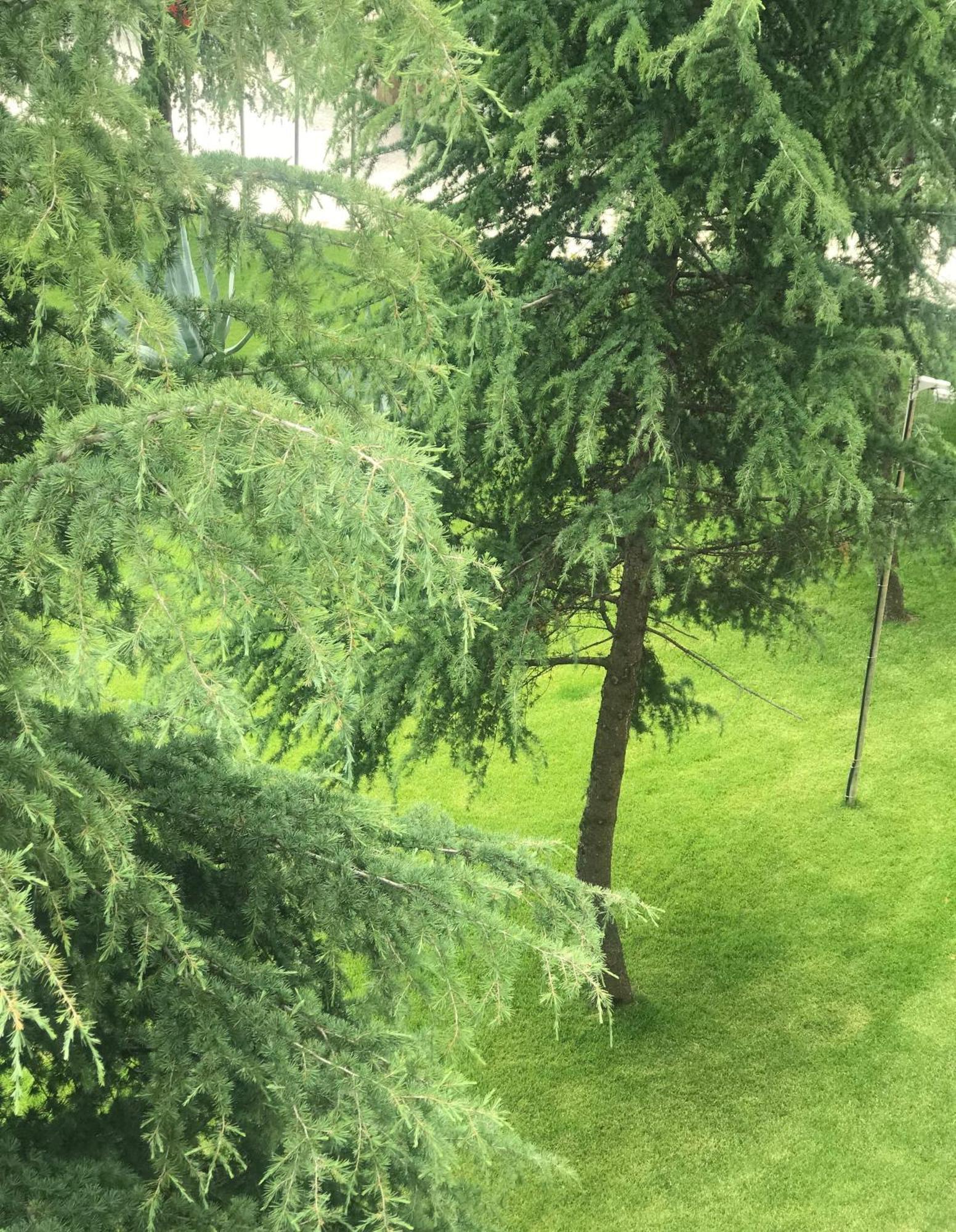 Chateau Linza Resort Shkoze 외부 사진